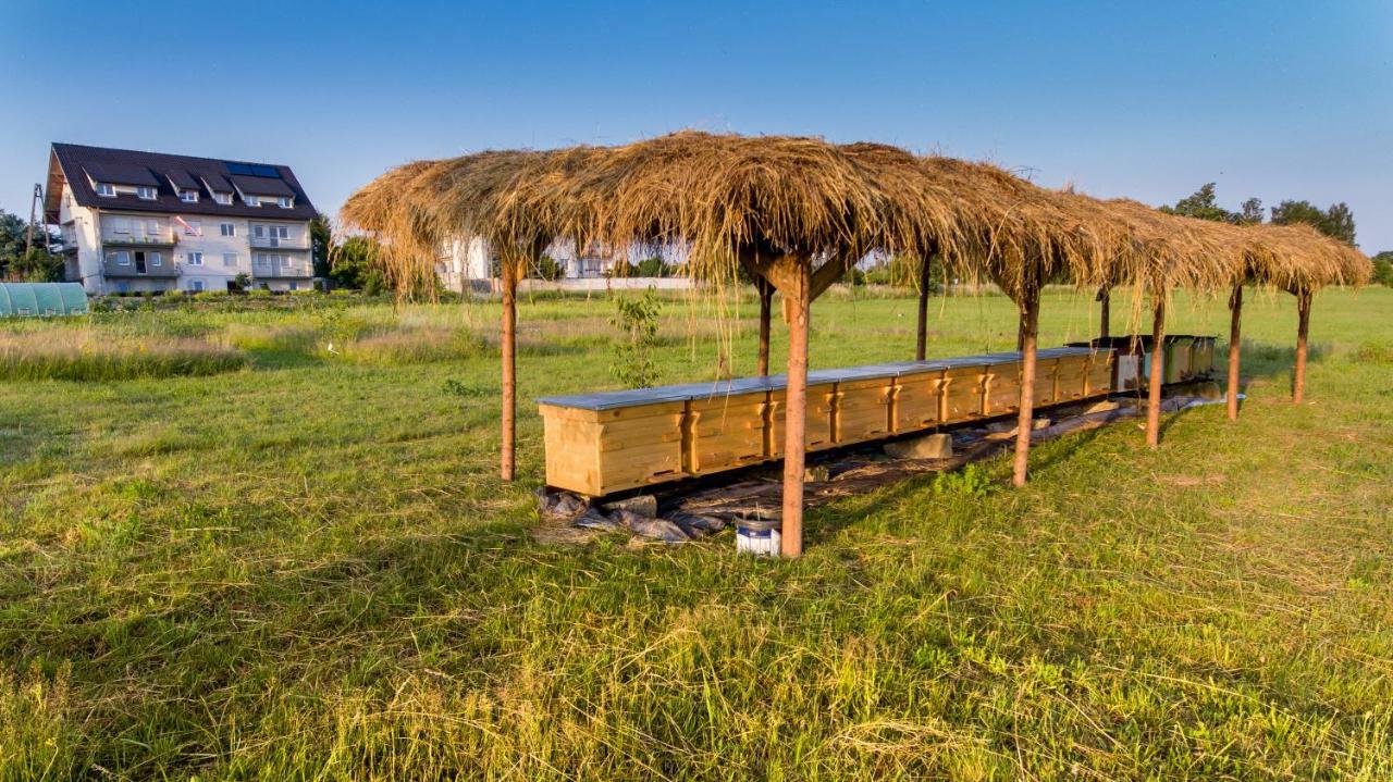 Agroturystyka Sikorki Lubomierz  エクステリア 写真